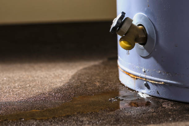 Water damage restoration mold remediation in GA