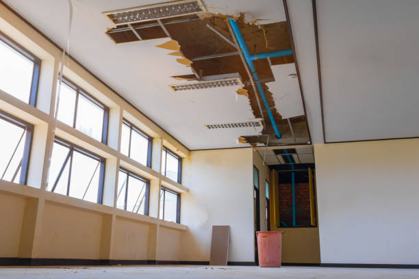 Best 24/7 water damage repair  in Brunswick, GA