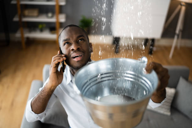 Best Professional water damage repair  in Brunswick, GA