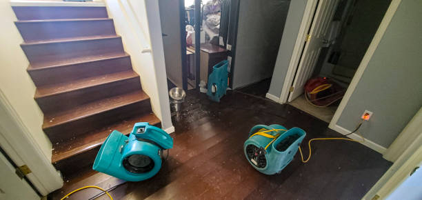 Best 24-hour water damage restoration  in Brunswick, GA