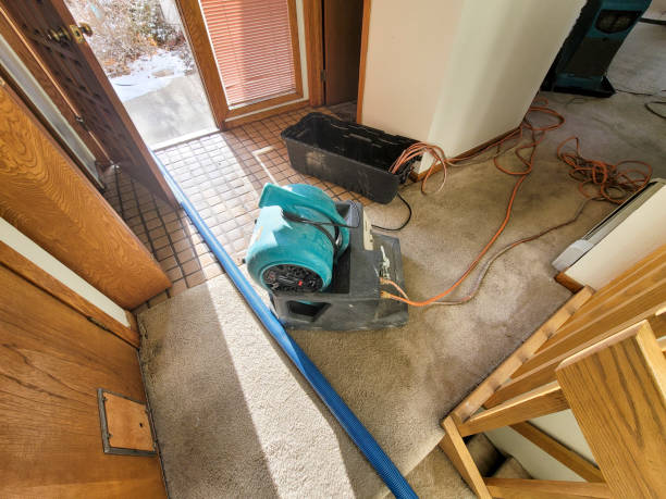 Best Sewage cleanup and water damage restoration  in Brunswick, GA
