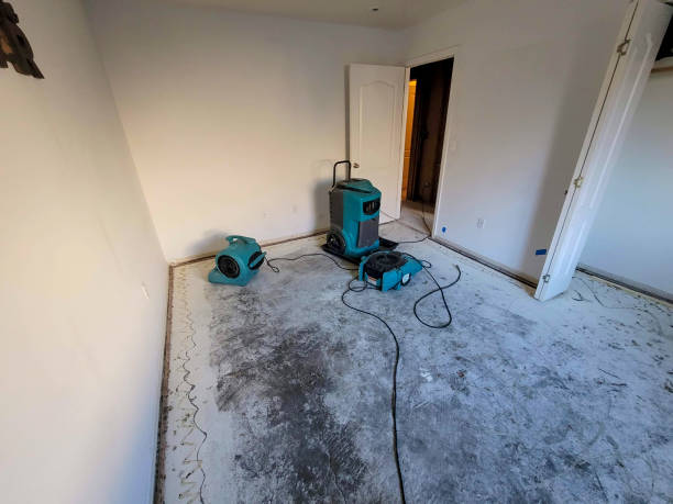 Best 24-hour water damage restoration  in Brunswick, GA