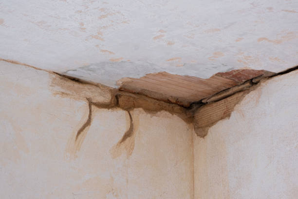 Best Mold removal after water damage  in Brunswick, GA