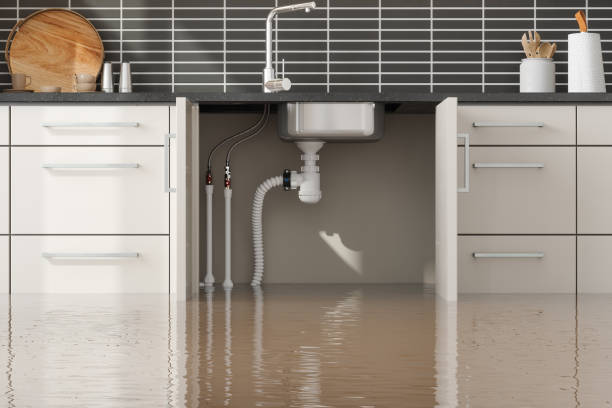 Best Water damage cleanup near me  in Brunswick, GA