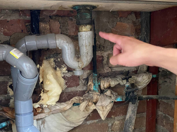 Best Water damage restoration mold remediation  in Brunswick, GA