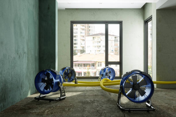 Best Residential water damage restoration  in Brunswick, GA